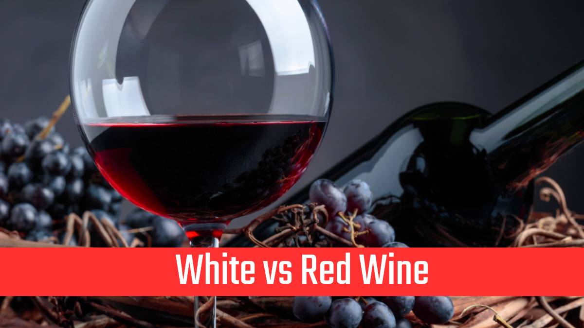 White vs Red Wine