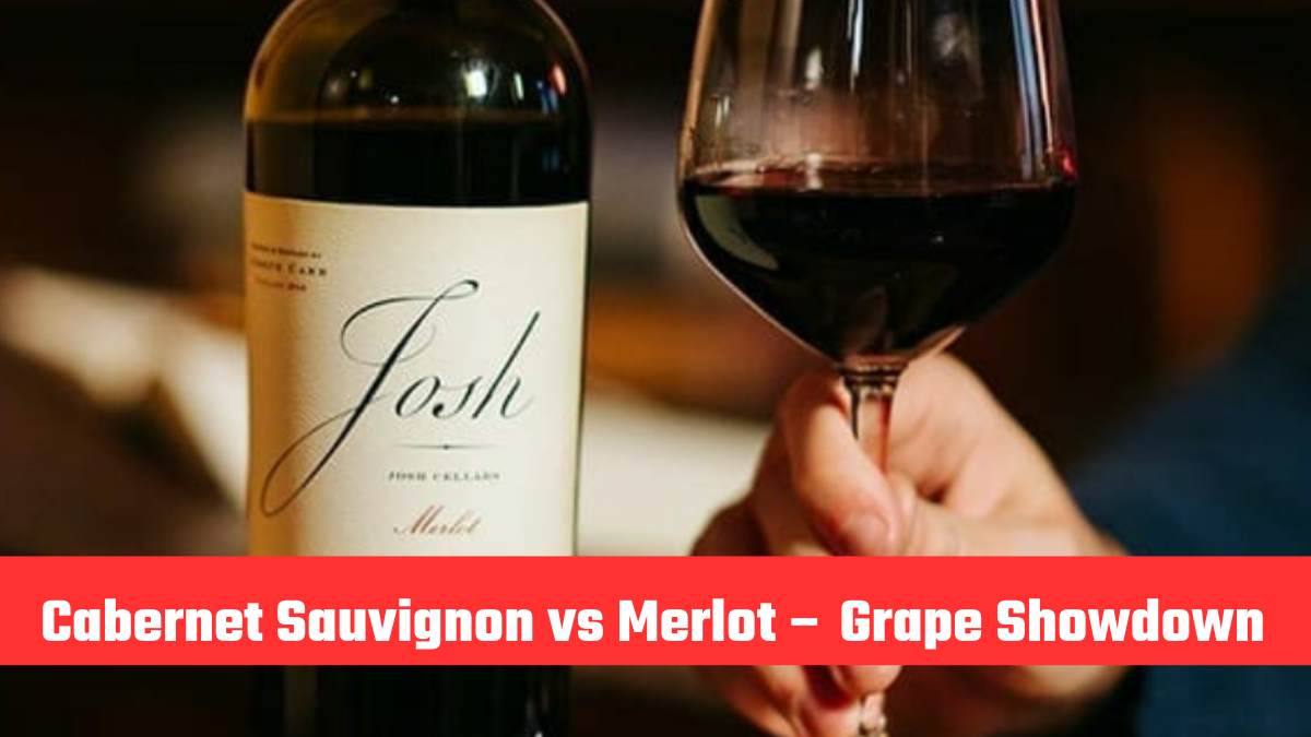 Cabernet Sauvignon vs Merlot – Grape Showdown