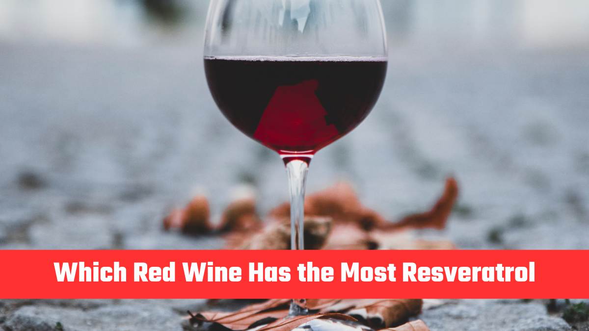 Which Red Wine Has the Most Resveratrol