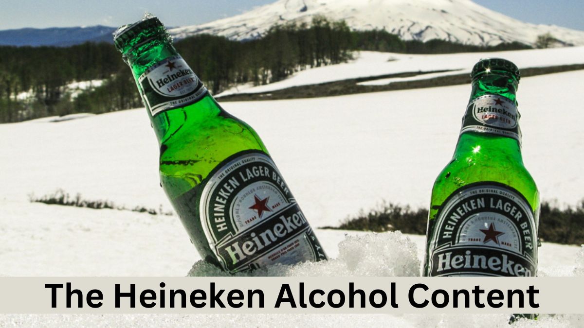 Understanding The Heineken Alcohol Content